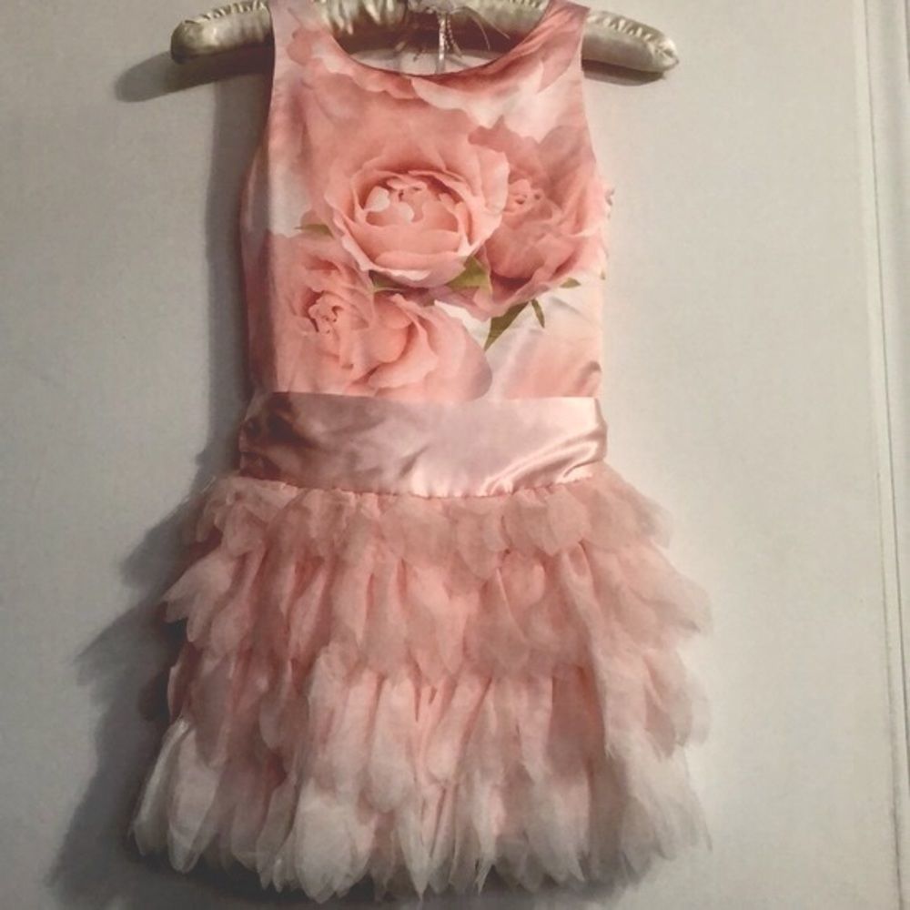 Biscotti Satin Rose Tutu Dress, Brand New, Size 7 & 12 Available